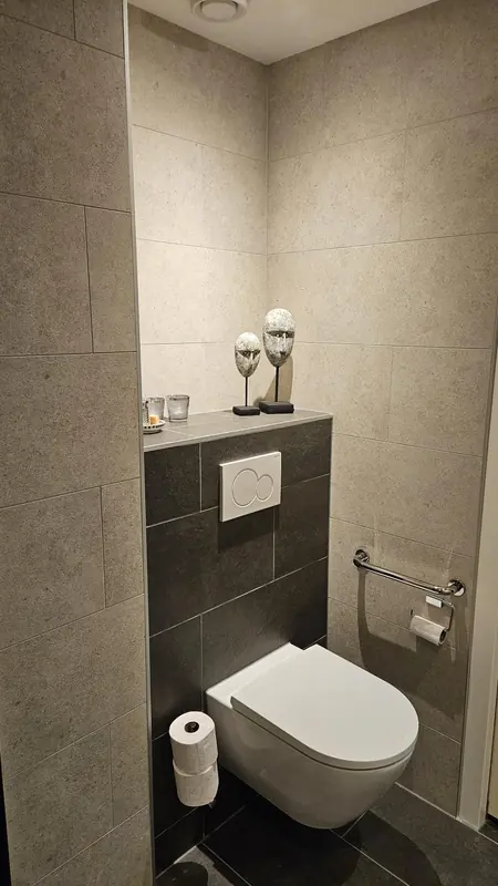 Hangend toilet tegen een donker betegelde voorzetwand met steunbeugel, beige wandtegels