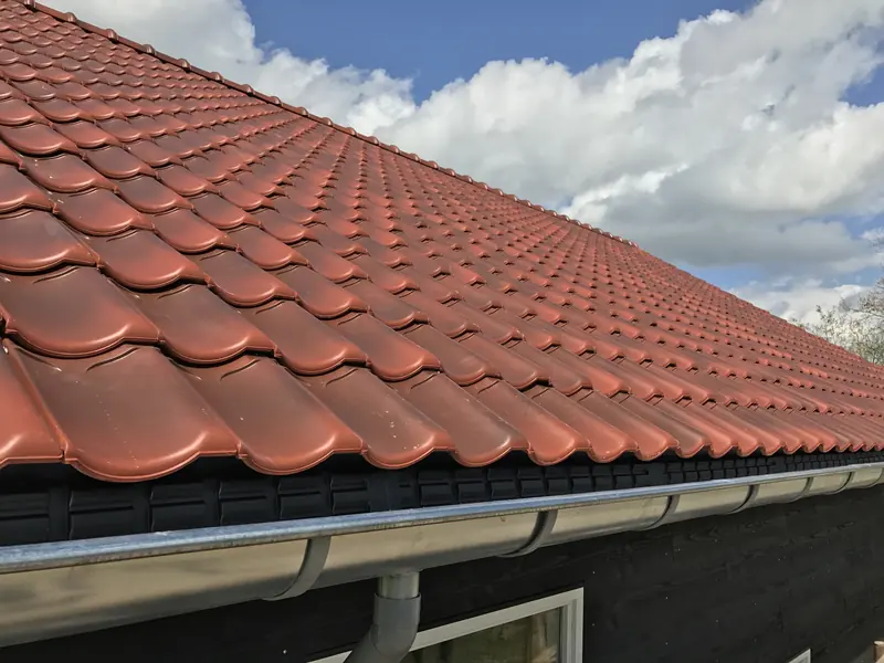 Roodbruine pannen met zinken goot boven de zwarte houten gevel, schuur bij het hertenkamp in Hoogwoud
